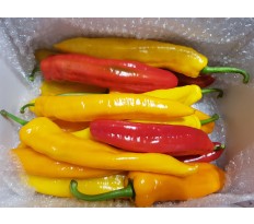 길쭉달달 바나나파프리카 - 5kg ( 35~60개 내외 )