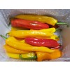 길쭉달달 바나나파프리카 - 2kg ( 12~20개 내외 )