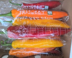 길쭉달달 바나나파프리카 - 1.5kg (9~16개내외)