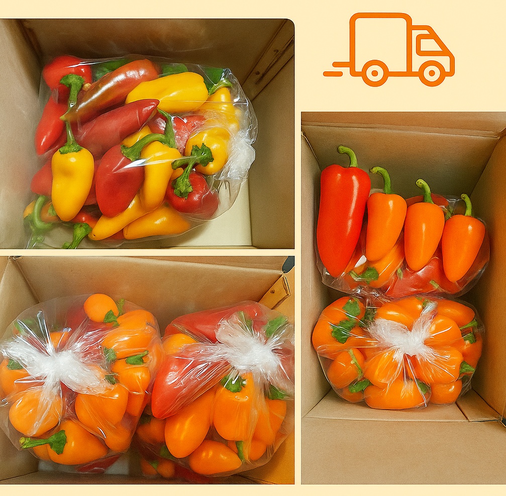 씨없는 미니파프리카 (안젤리또) - 2kg