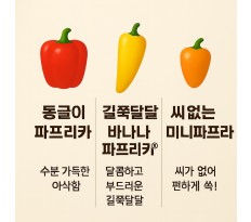 3종합 파프리카 - 5kg