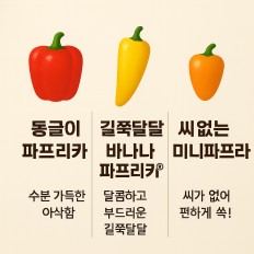 3종합 파프리카 - 5kg